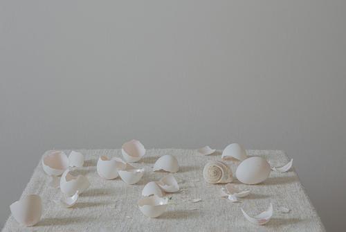 Métamorphose après la Destruction